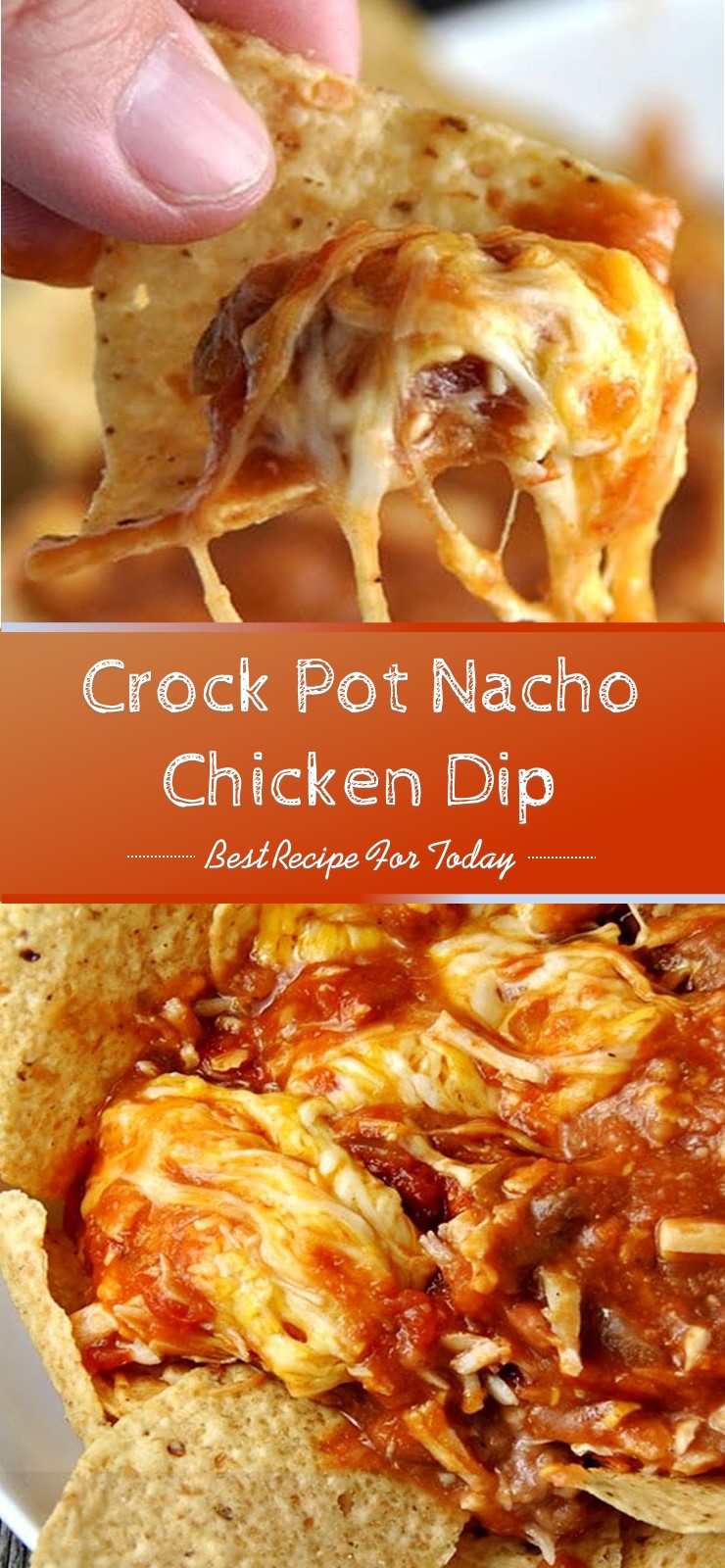 Crock Pot Nacho Chicken Dip Food Info
