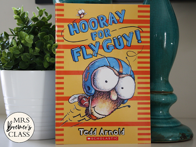 Hooray for Fly Guy book study companion literacy activities unit for first and second grade
