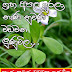 ග්‍රහ අපල දුරලා නැණ නුවණ වඩවන ලුණුවිල (Lunuwila)