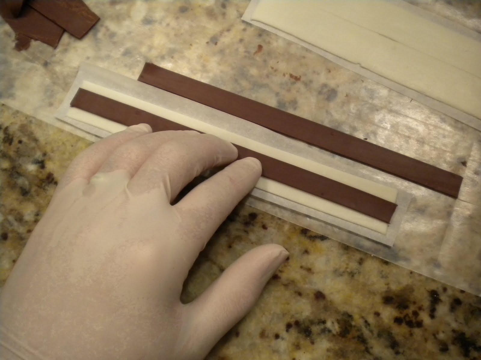 Step by Step Gourmet: Spiced Chocolate Torte Wrapped in Chocolate Ribbons