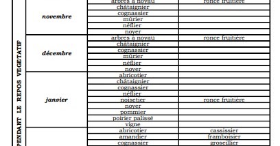 CALENDRIER LUNAIRE MENSUEL: TAILLE DES ARBRES FRUITIERS CALENDRIER LUNAIRE MENSUEL: TAILLE DES ARBRES FRUITIERS