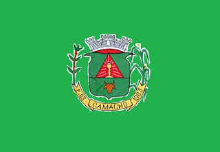 Resultado de imagem para bandeira de camacho mg