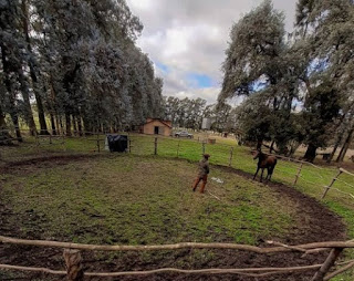 Polo: confirmaron los equipos inscriptos para la Triple Corona 2021.