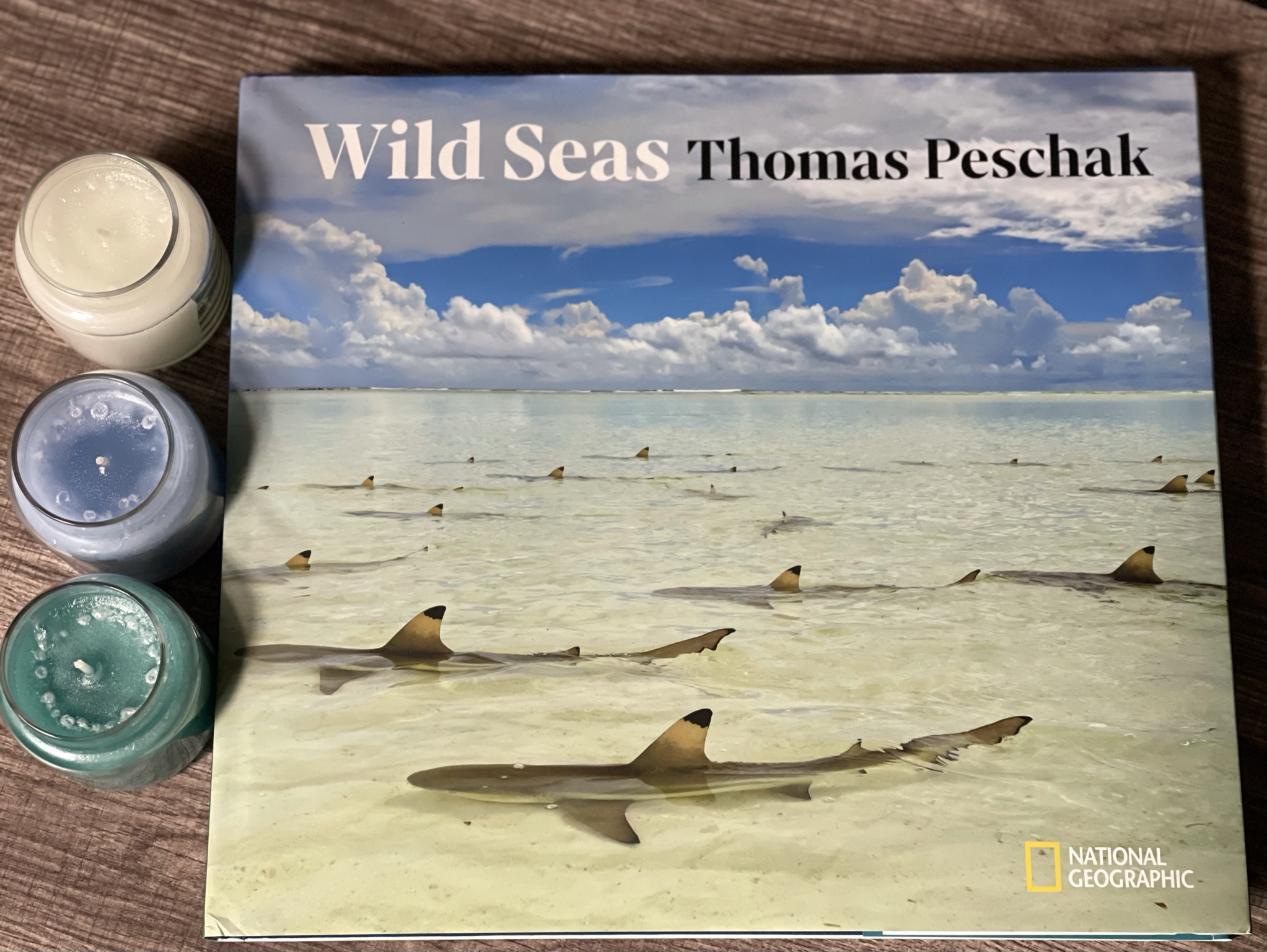 Wild Seas     Hardcover – November 30, 2021