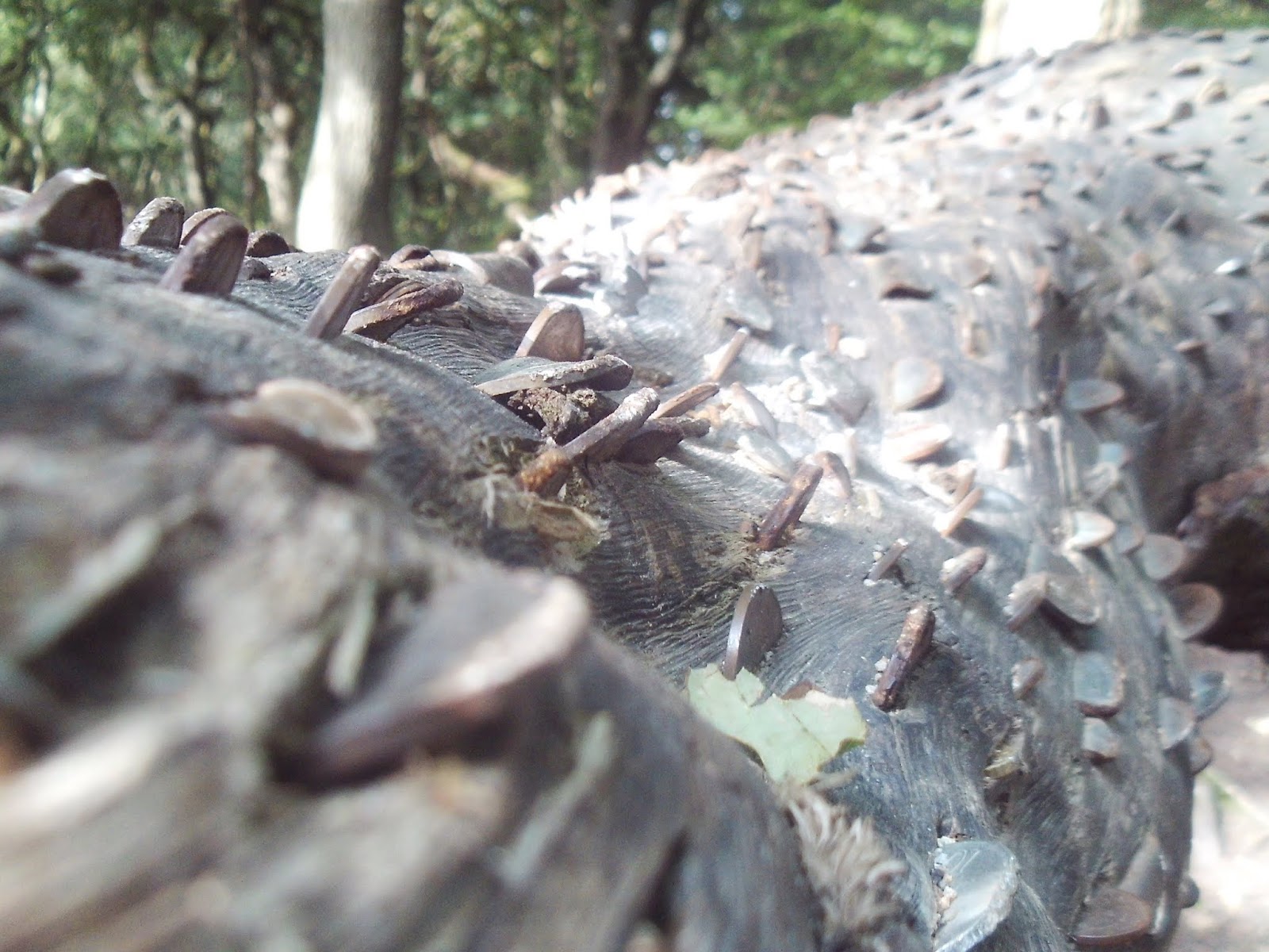 Walking The Peak: Fox House, Upper Padley, Grindleford, Eyam
