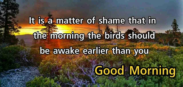 Amazing good morning images with quotes