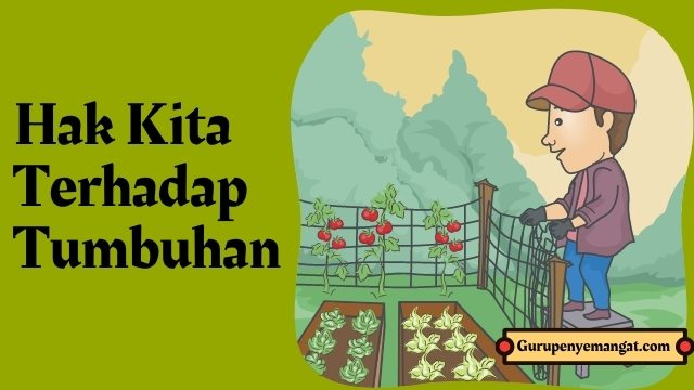 Apa yang kita peroleh jika semua orang memanfaatkan tanaman dengan bijak dan merawatnya