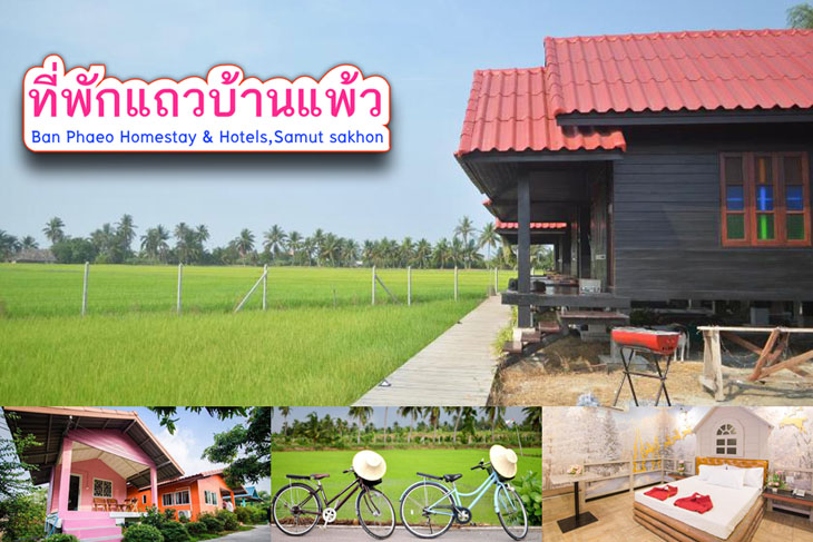 แนะนำ 8 ท พ กบ านแพ ว ราคาประหย ด โฮมสเตย นอนพ กใกล ช ดธรรมชาต มาให เล อกก นจ า ค ณนายเว อร เทอร ชอบเท ยวก นนอน