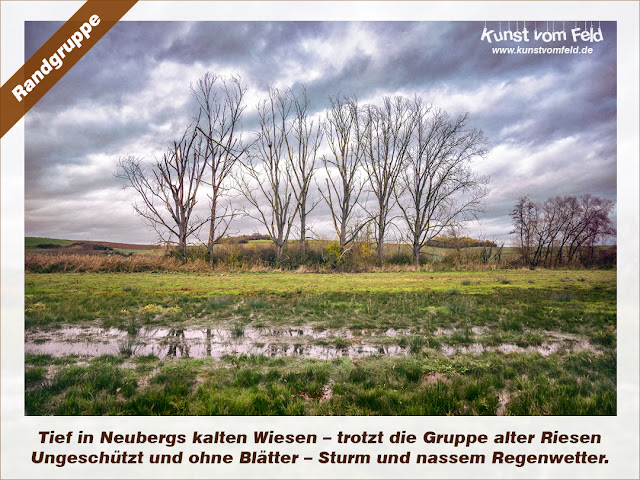 Kunst Vom Feld 2019