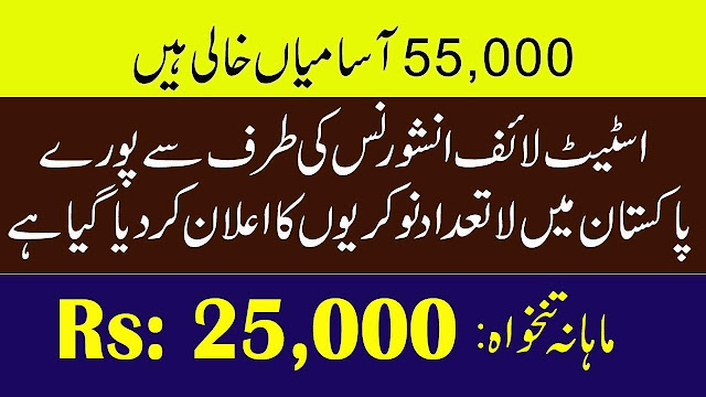 State Life Insurance Corporation of Pakistan Jobs 2020 Online Apply