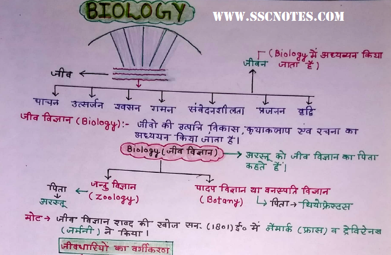 biology in hindi essay