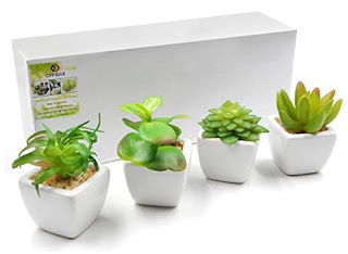 cactus artificiali per ufficio