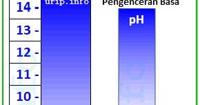 Cara Menghitung Ph Larutan Setelah Diencerkan Dengan Kelipatan Tertentu Urip Dot Info