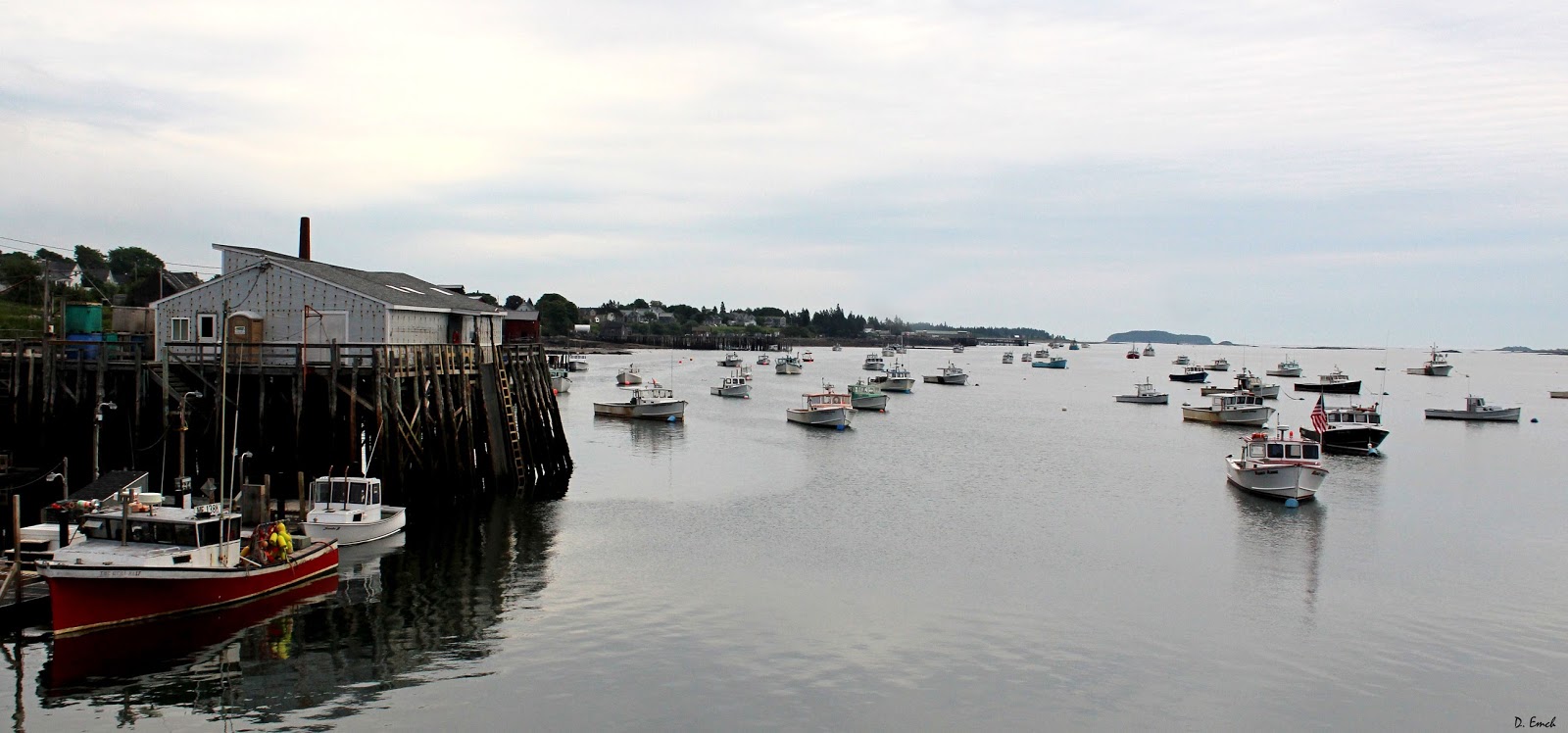 Capture America Journal Maine Cutler and Jonesport 4th of July