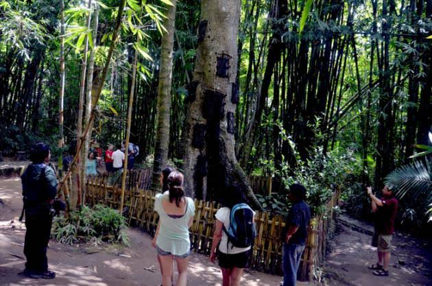 Traveling to a cemetery? Sounds strange, but this is what we did at Baby Grave Toraja