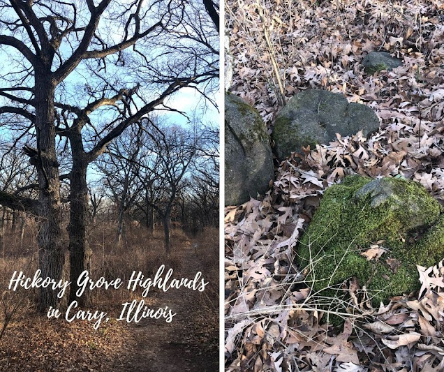 A Little Time and a Keyboard Rolling Trails and Mini Boulders at Hickory Grove Highlands in