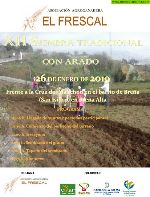 Breña Alta acoge este sábado la XII siembra tradicional con arado y una nueva edición de Puro Arte con 'Les Fanfoireux'