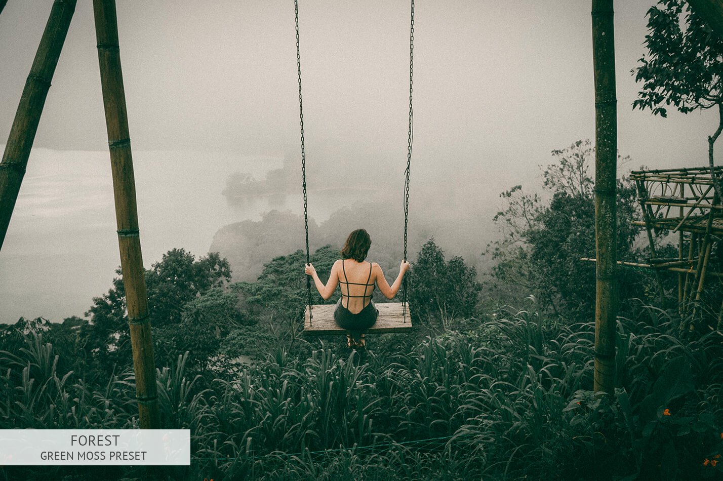 Presets Tone Màu Xanh Lá Cây Phù Hợp Với Ảnh Dã Ngoại – Forest Lightroom Presets (DNG, XMP, LR)
