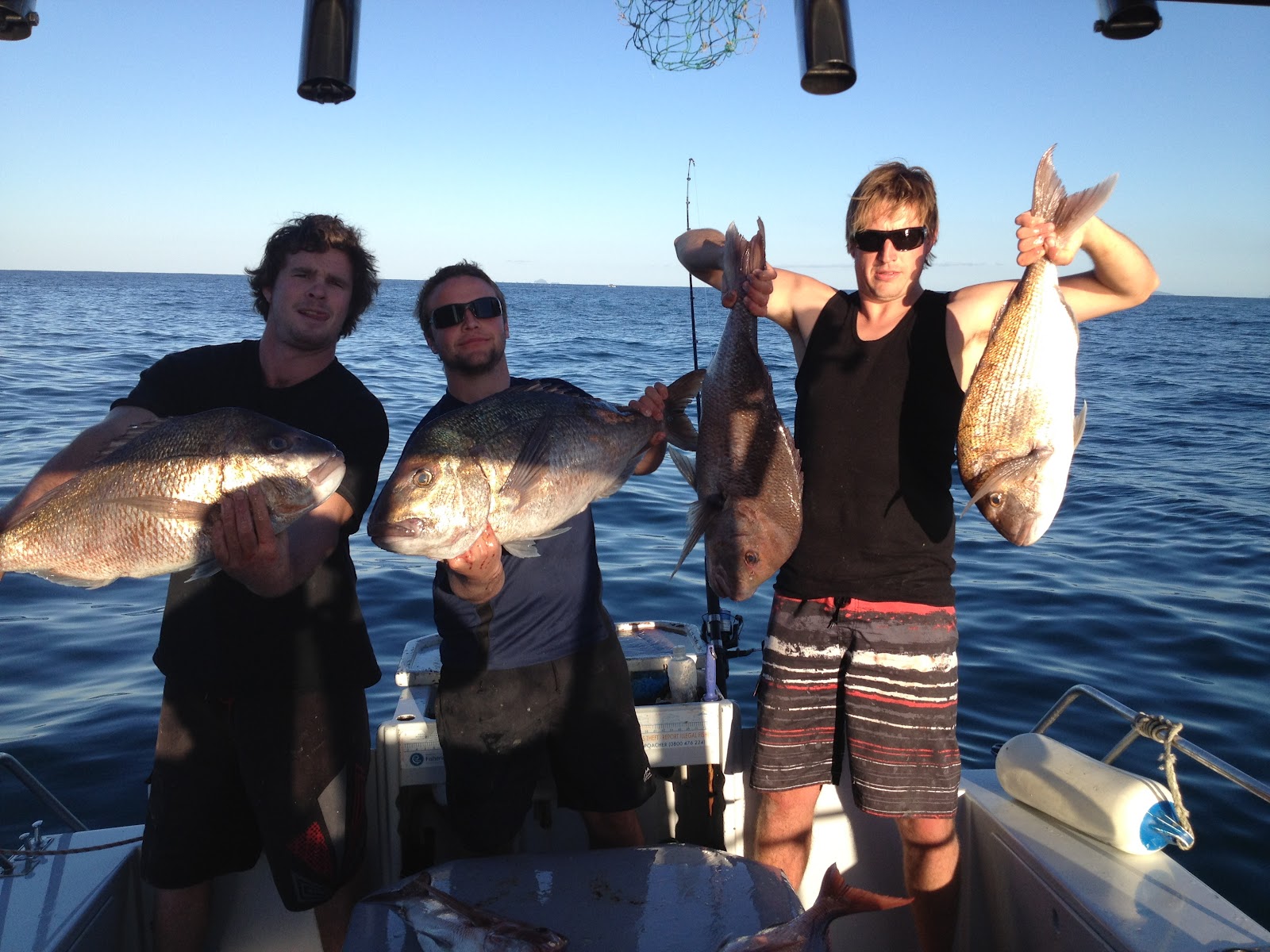 fishing whitianga with Rippin and Reelin charters!!