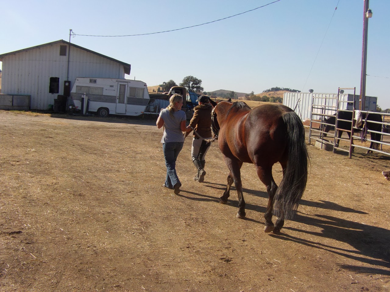 The Aspiring Equestrian Riding Lesson Pictures