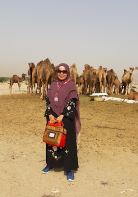 cerita pengalaman saya berkunjung ke peternakan unta camel farm di hudaibiyah arab saudi umroh alhijaz indowisata nurul sufitri travel lifestyle blogger review