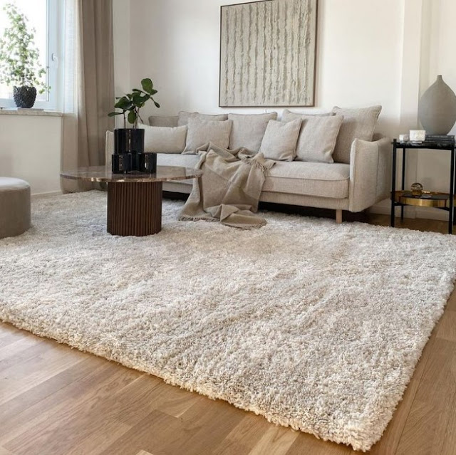 White Living Room Carpet Ideas