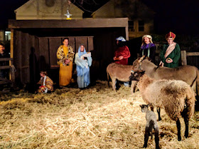 living nativity with newborn lambs at First Presbyterian Church Santa Rosa 2016