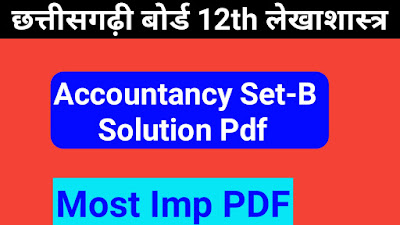 cg board class 12 Accountancy Set-B solution pdf download