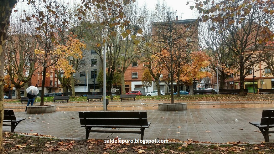 parque-el-cerillero