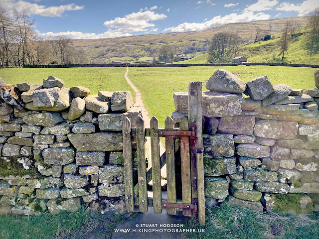 muker wildflower meadows walk upper swaledale yorkshire dales