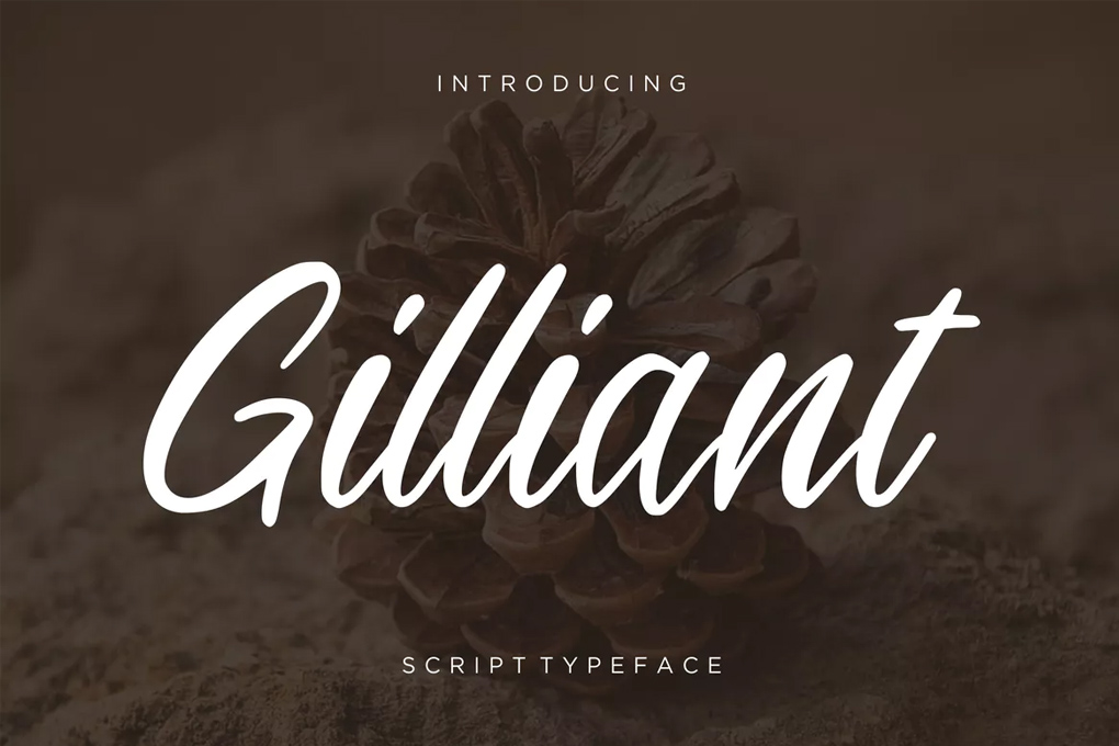 Free Fonts Macaroons Free Calligraphy Fonts Cursive Calligraphy