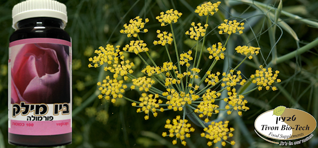 ביו מילק אתר ויטמין טבעון