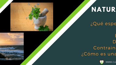 Qué es la naturopatía