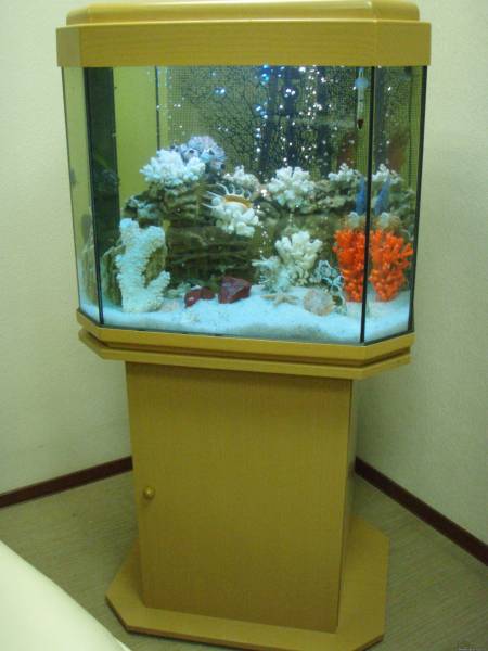 Aquariumic: Установка аквариума и оборудования