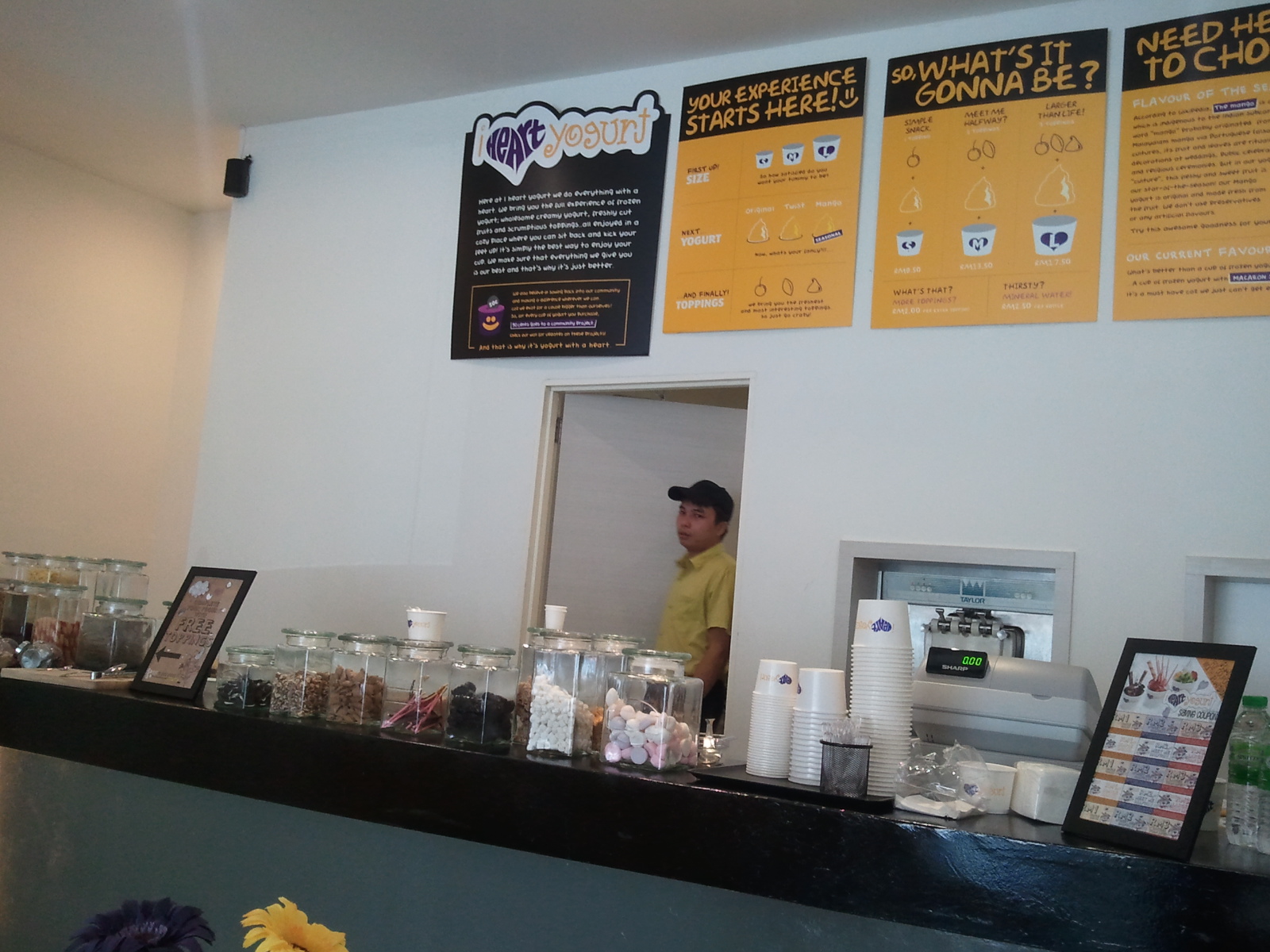 Tasty Or Not? I Heart Yogurt's Frozen Yogurt VS. McDonald IceCreams