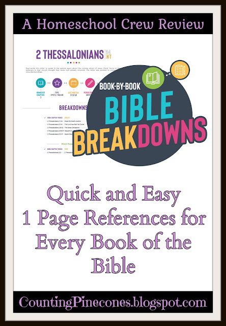 #hsreviews #biblebreakdowns #biblestudytools #bibleeducation #readingthebible #biblestudyguide #bibleprintable