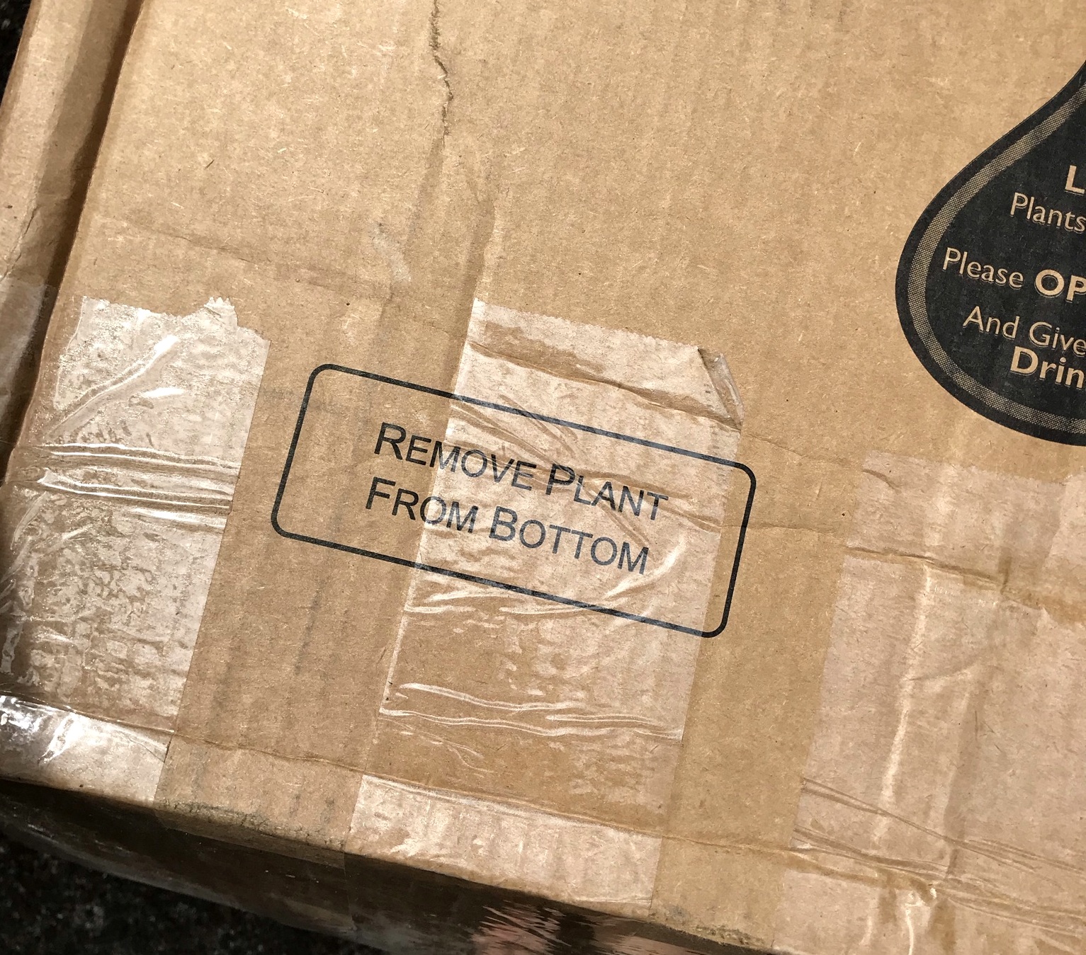 danger garden: New plants from the Sunset Western Garden Collection