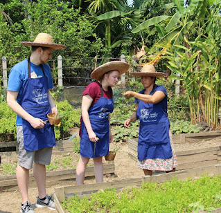 Thai Cooking Class in Thailand