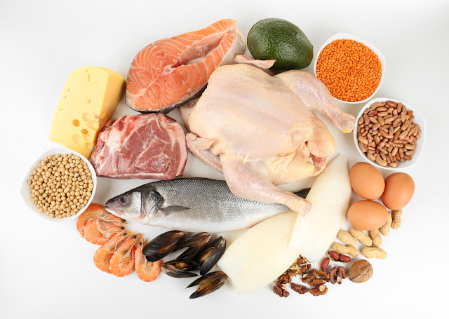 health benefits of protein