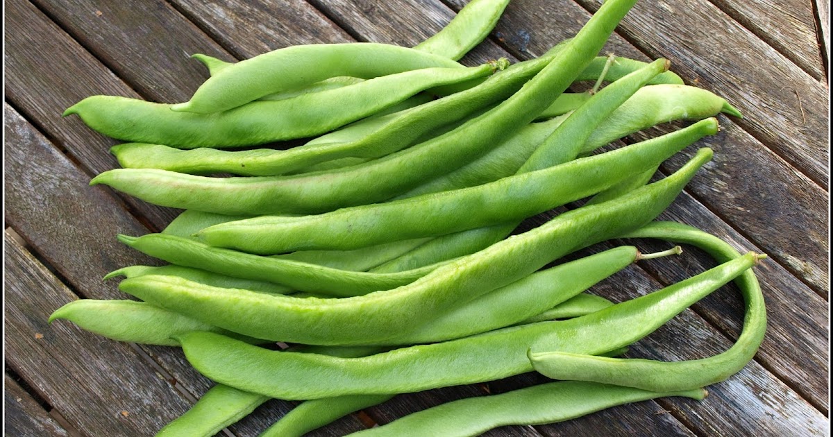 Mark's Veg Plot Runner Beans when Enough Too Many!