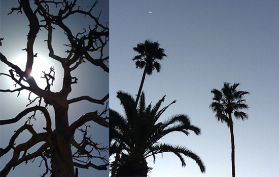 my hyggelig: Palm Springs: The Truths...