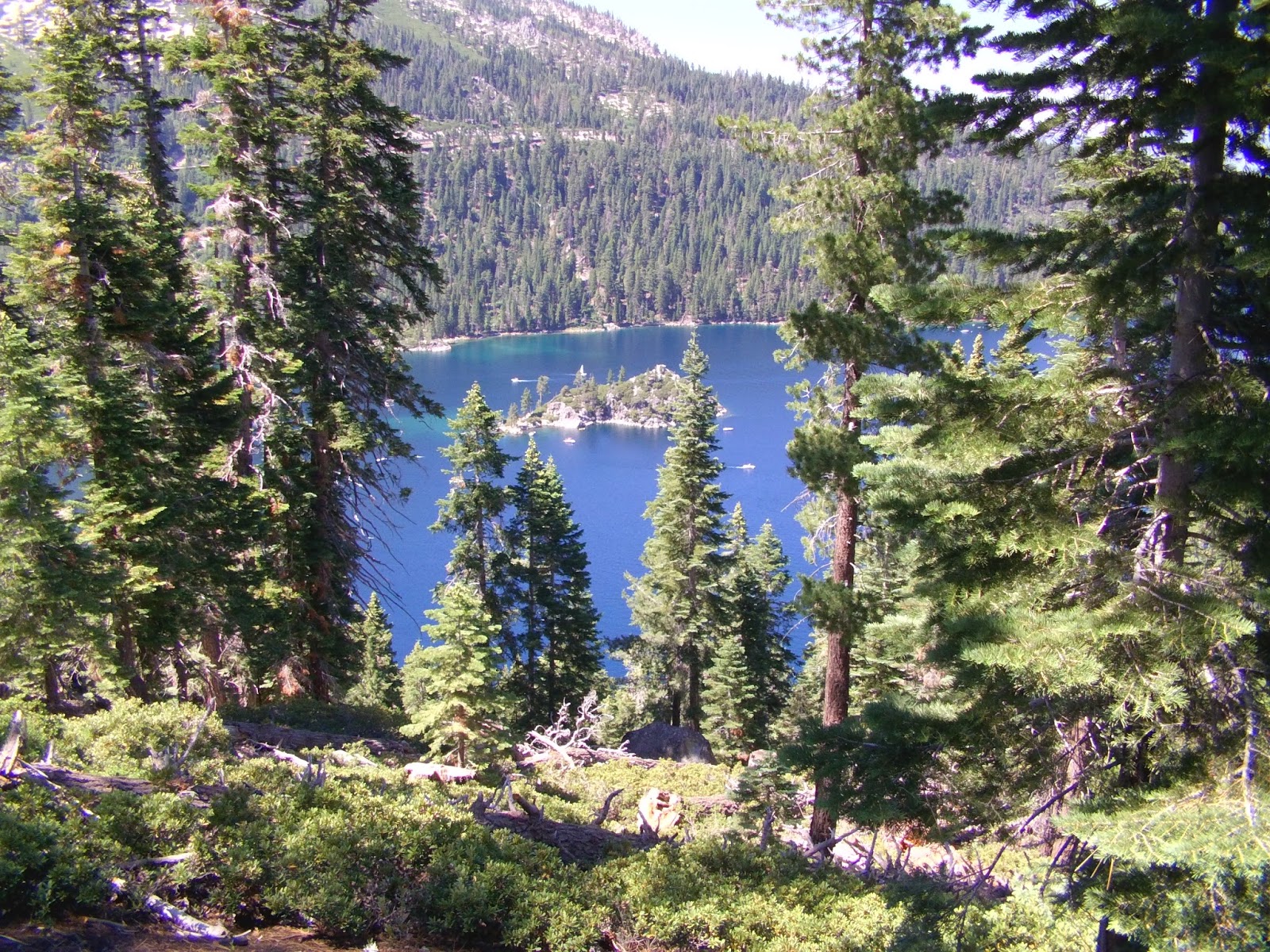 Thom & Carol's Adventures Smith Valley, Nevada Part II