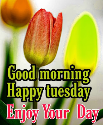 good morning tuesday wishing