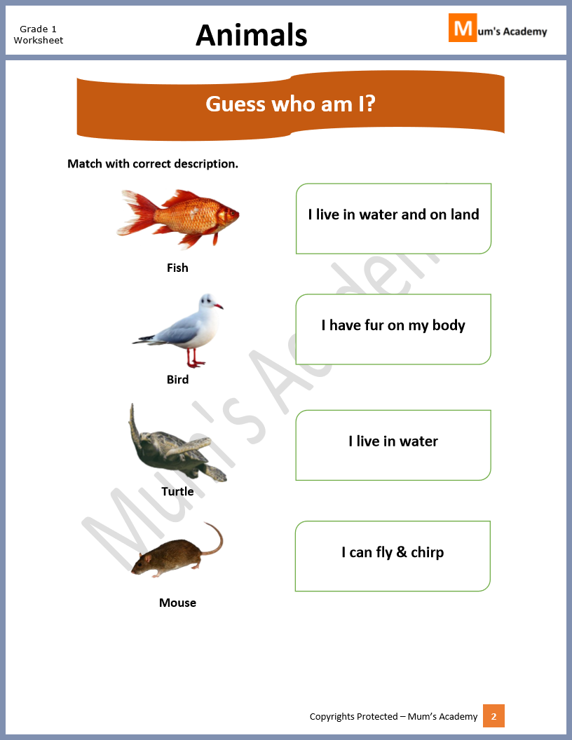 animal-characteristics-worksheets-the-best-worksheets-image-free