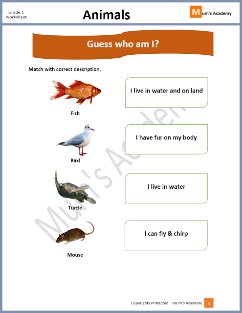 Grade 1 - Worksheet - Animals - Mum's Academy