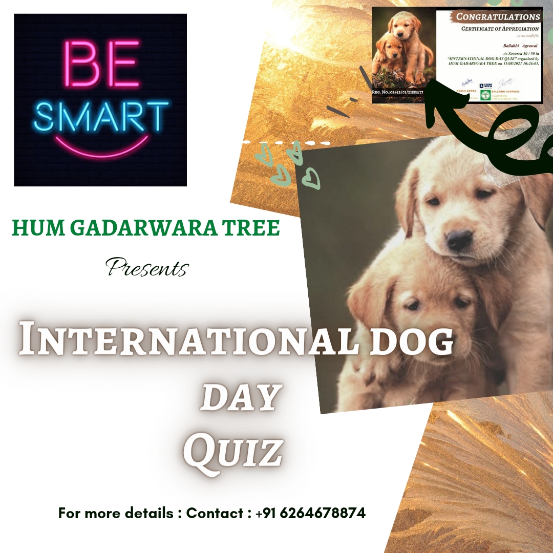 International Dog Day Quiz