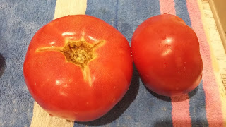 With love from siberia. Смотреть фото With love from siberia. Смотреть картинку With love from siberia. Картинка про With love from siberia. Фото With love from siberia With love from siberia. Смотреть фото With love from siberia. Смотреть картинку With love from siberia. Картинка про With love from siberia. Фото With love from siberia