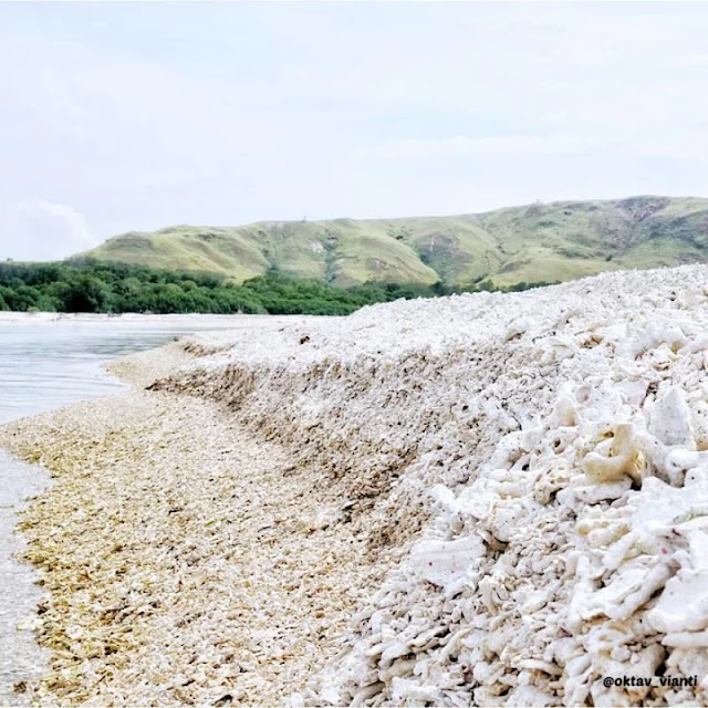9 Keunikan Pulau Sembilan Labuan Bajo, Flores 3 Ternyata terbentuk dari timbunan karang