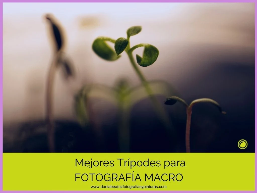 Trípodes-recomendados-para-fotografía-según-uso-y-presupuesto