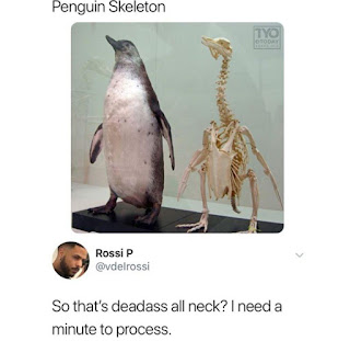 Penguins Meme 
